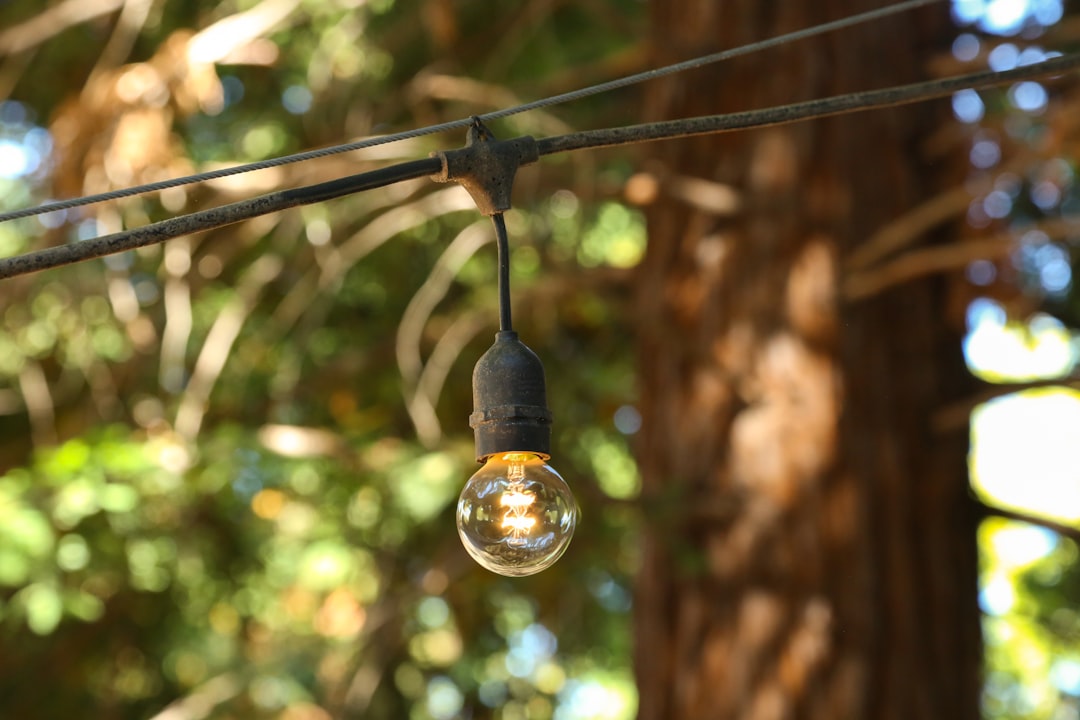 Blog 6 spring outdoor electrical safety check backyard